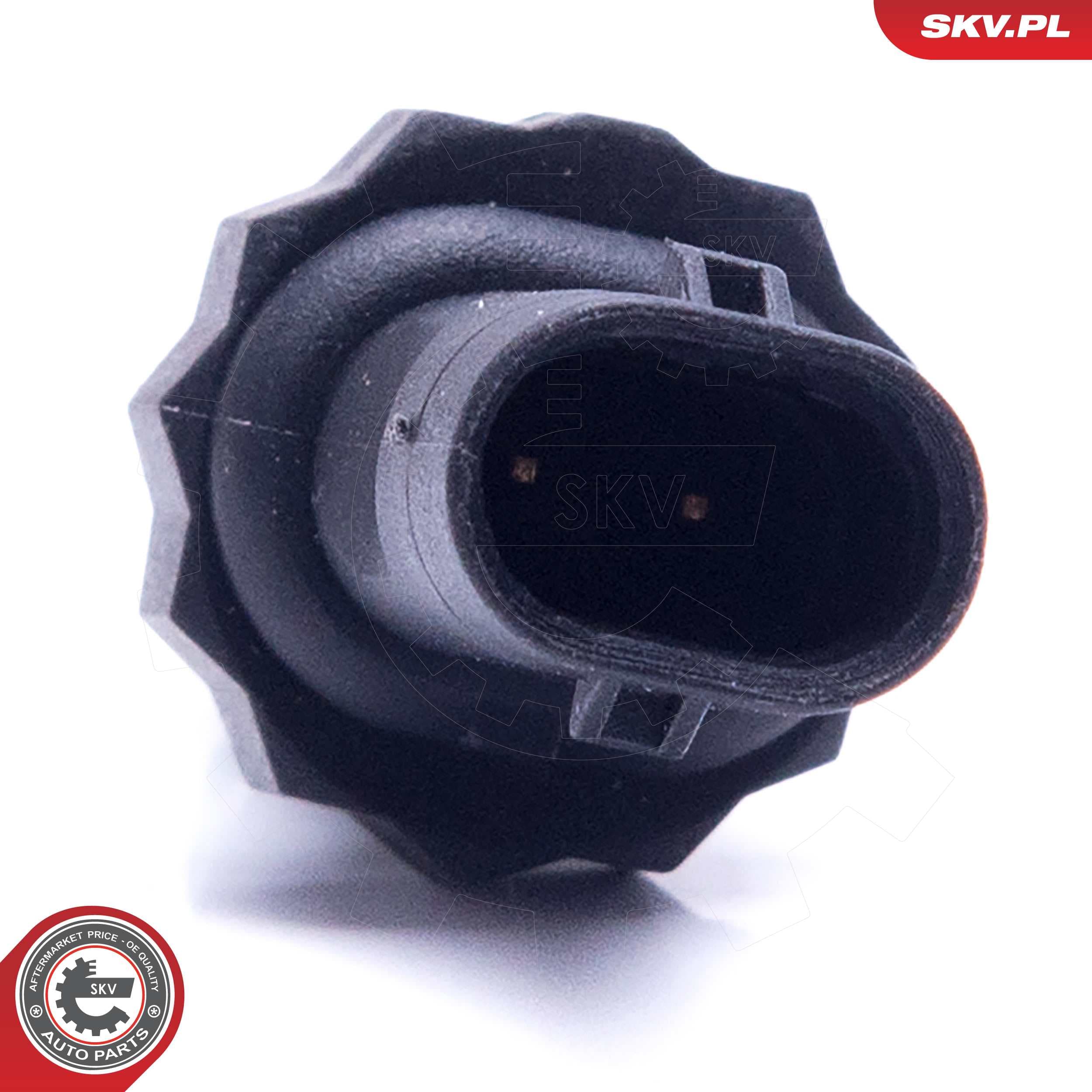 Image of Czujnik temperatury płynu chłodzącego ; AUDI SEAT SKODA VW ; 2 PIN ; 059919523A