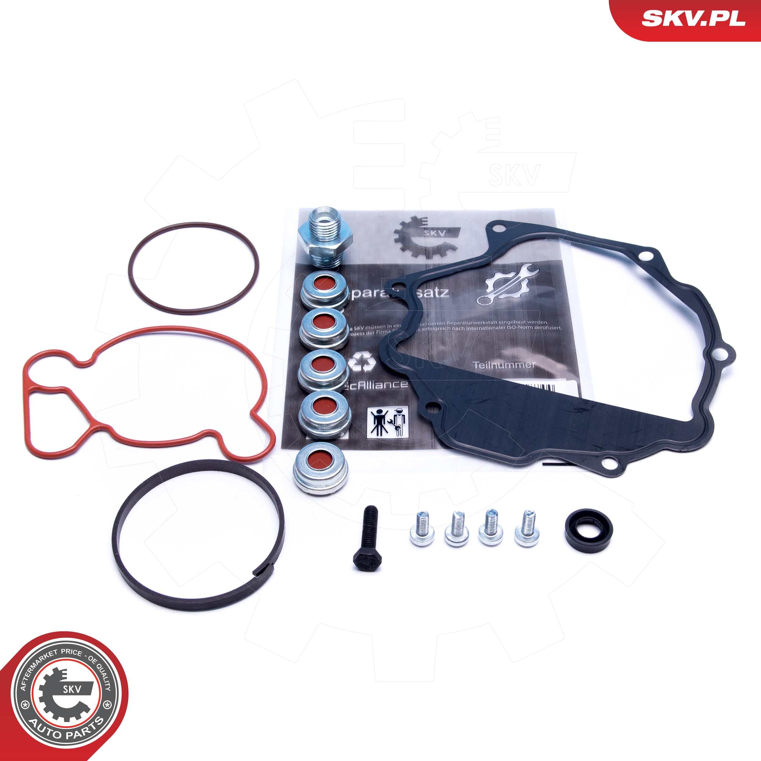 Image of Zestaw naprawczy pompy vacum ; DAEWOO MERCEDES-BENZ SSANGYONG ; 0002303165