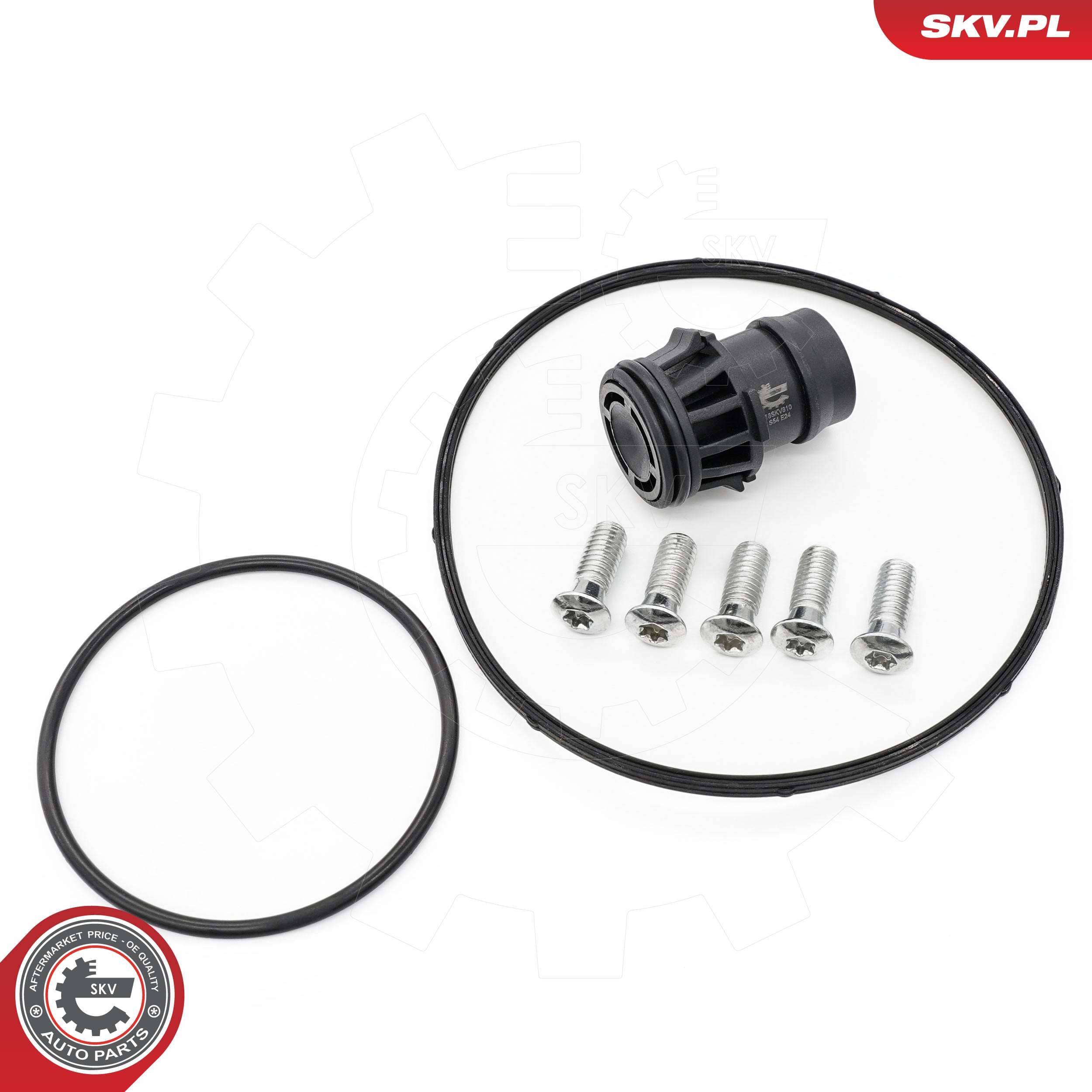 Image of Zestaw naprawczy pompy vacum ; VOLVO S60 II S80 II V70 III XC60 I XC70 II XC90 I  ; 31401556