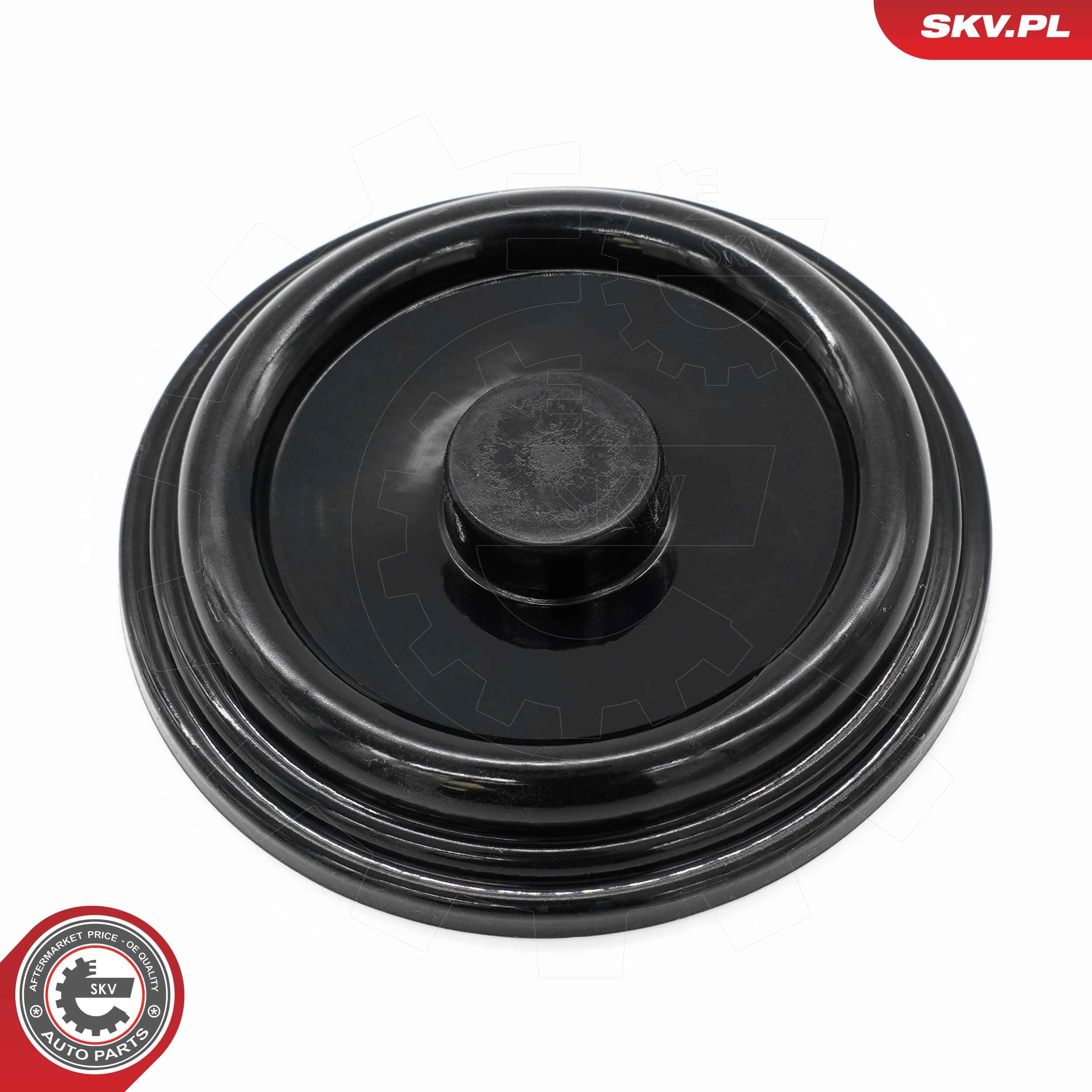 Image of Membrana odmy oleju ; AUDI A4 A6 SEAT Alhambra SKODA Superb I VW Bora Bora I Golf IV Passat Sharan Transporter  ; 038103469