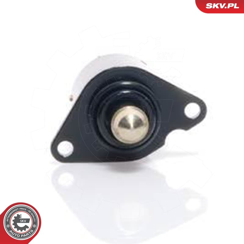 Image of Válvula de Control de Ralentí ; PEUGEOT 106 206 306 Partner ; 19209L