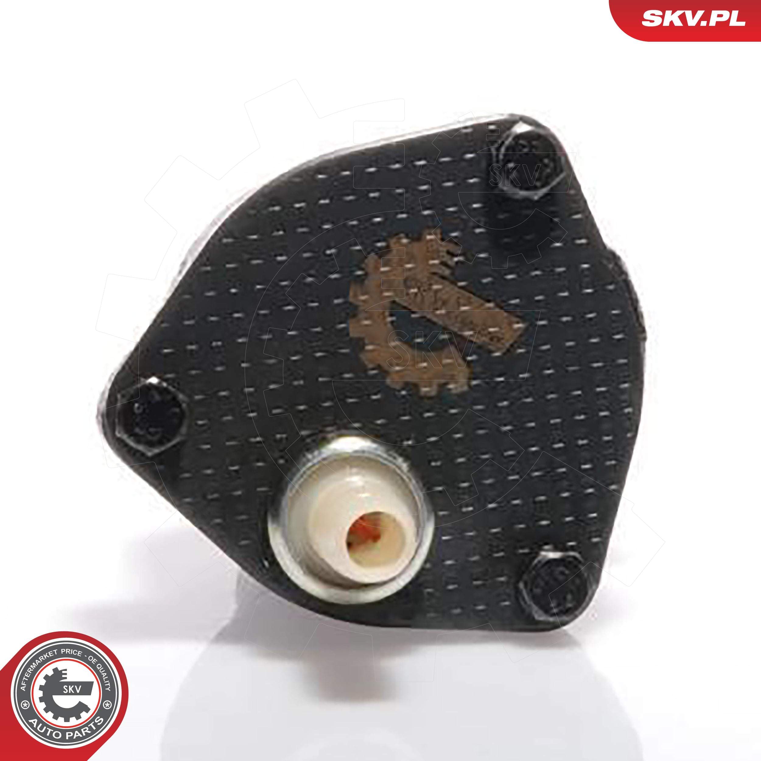 Image of Vakuové čerpadlo ; AUDI FORD SEAT SKODA VW ; 028145101A