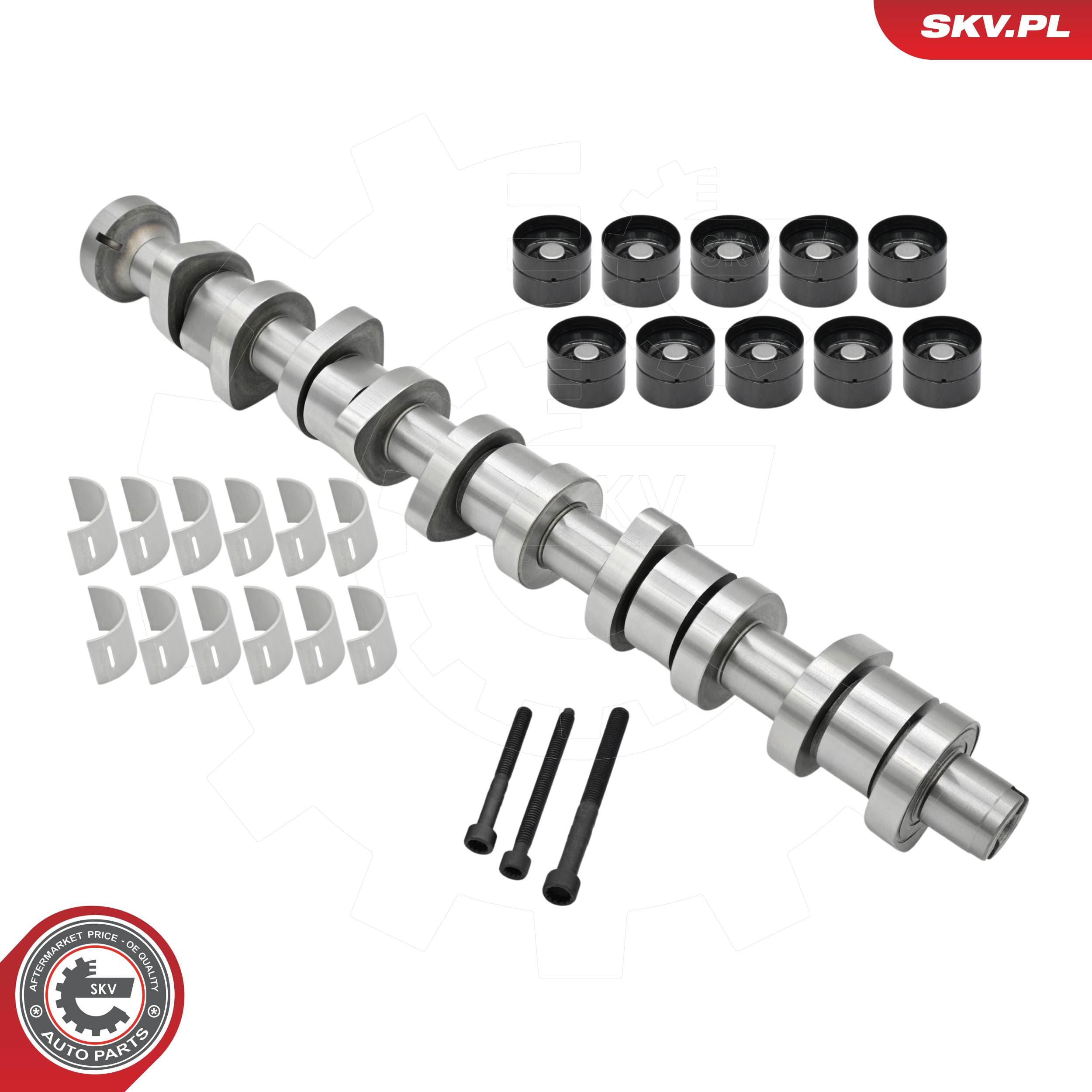Image of Árbol de levas ; VW Transporter T5 Multivan T5 Touareg California T5 ; 070109101Q