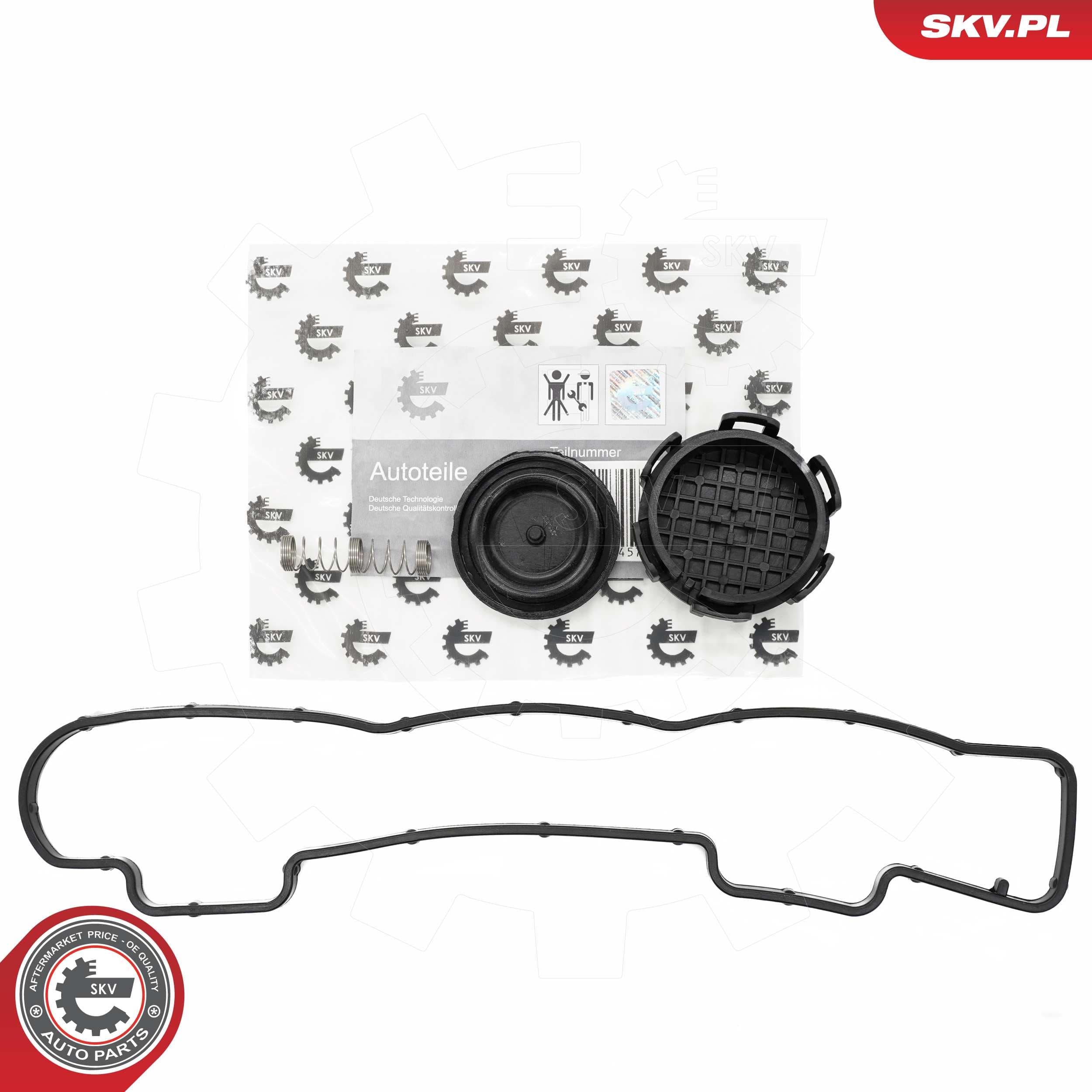Image of Reperaturset ; CITROEN Berlingo C2 C3 C4 C5 C8 FIAT Scudo FORD C-max Fiesta V MINI Clubman PEUGEOT 207  ; 11127804877