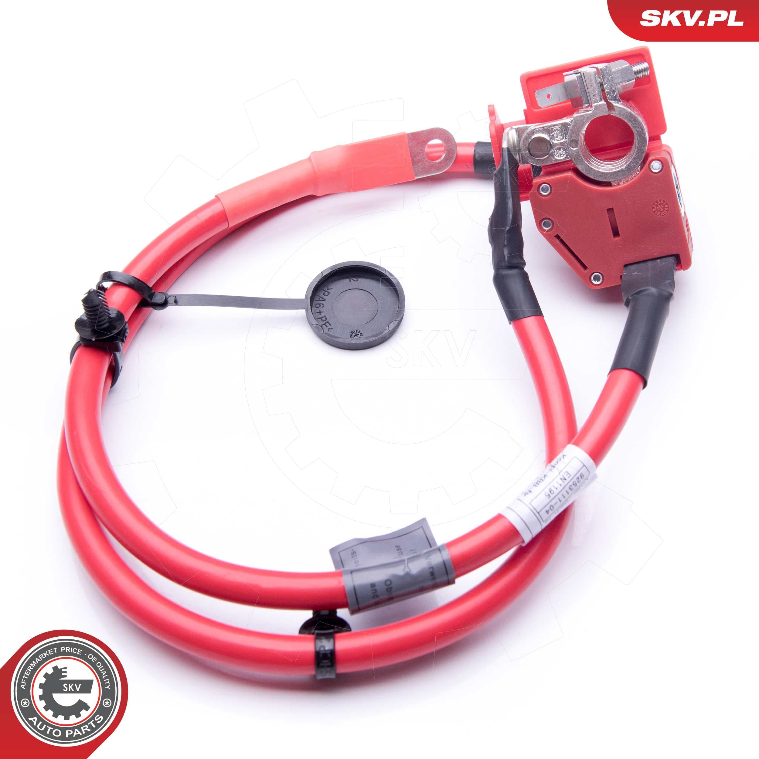 Image of Câble de batterie Positive ; BMW F20 F21 F22 F87 F23 ; 61129253111