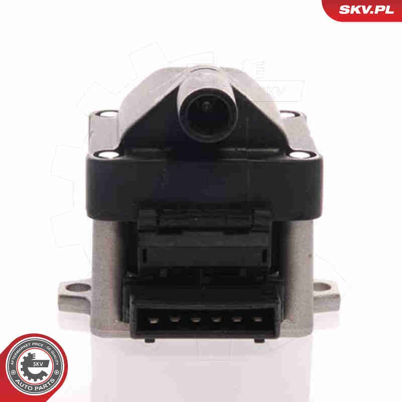 Image of Cewka zapłonowa