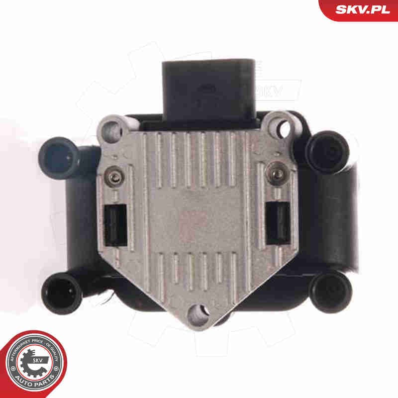 Image of Cewka zapłonowa