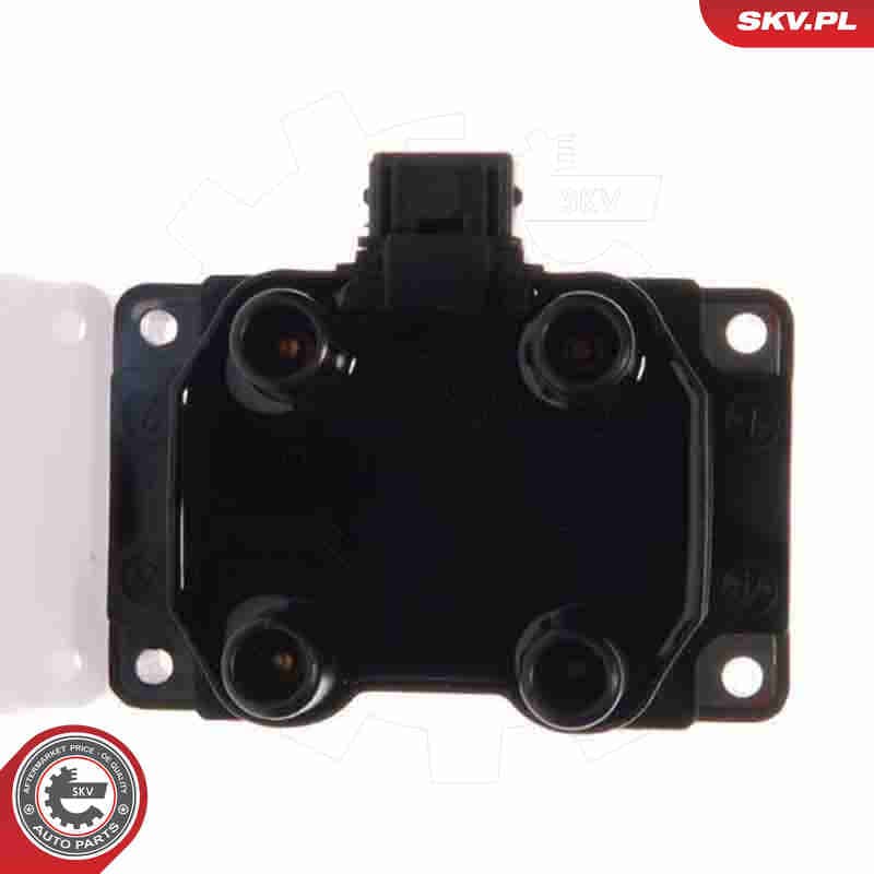 Image of Cewka zapłonowa