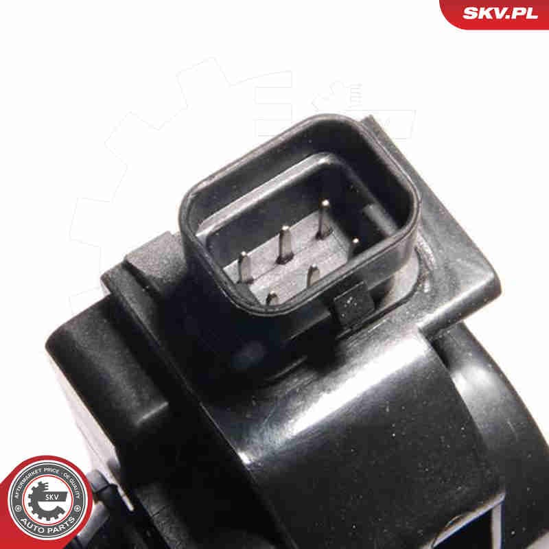 Image of Cewka zapłonowa