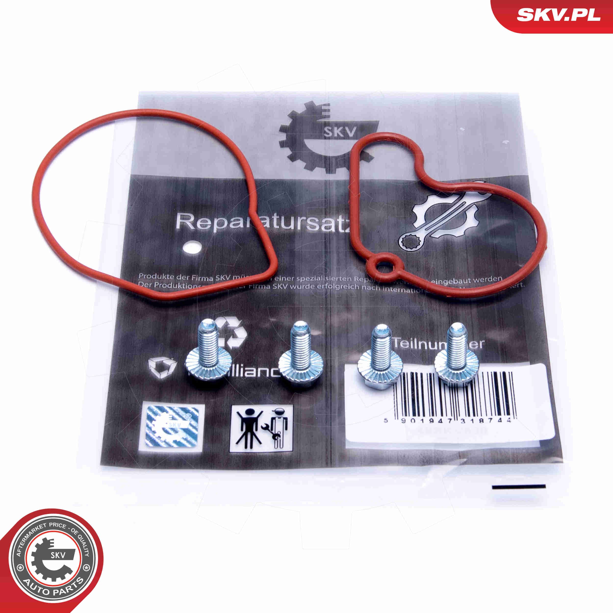 Image of Zestaw naprawczy, pompa podciśnieniowa (układ hamulcowy)