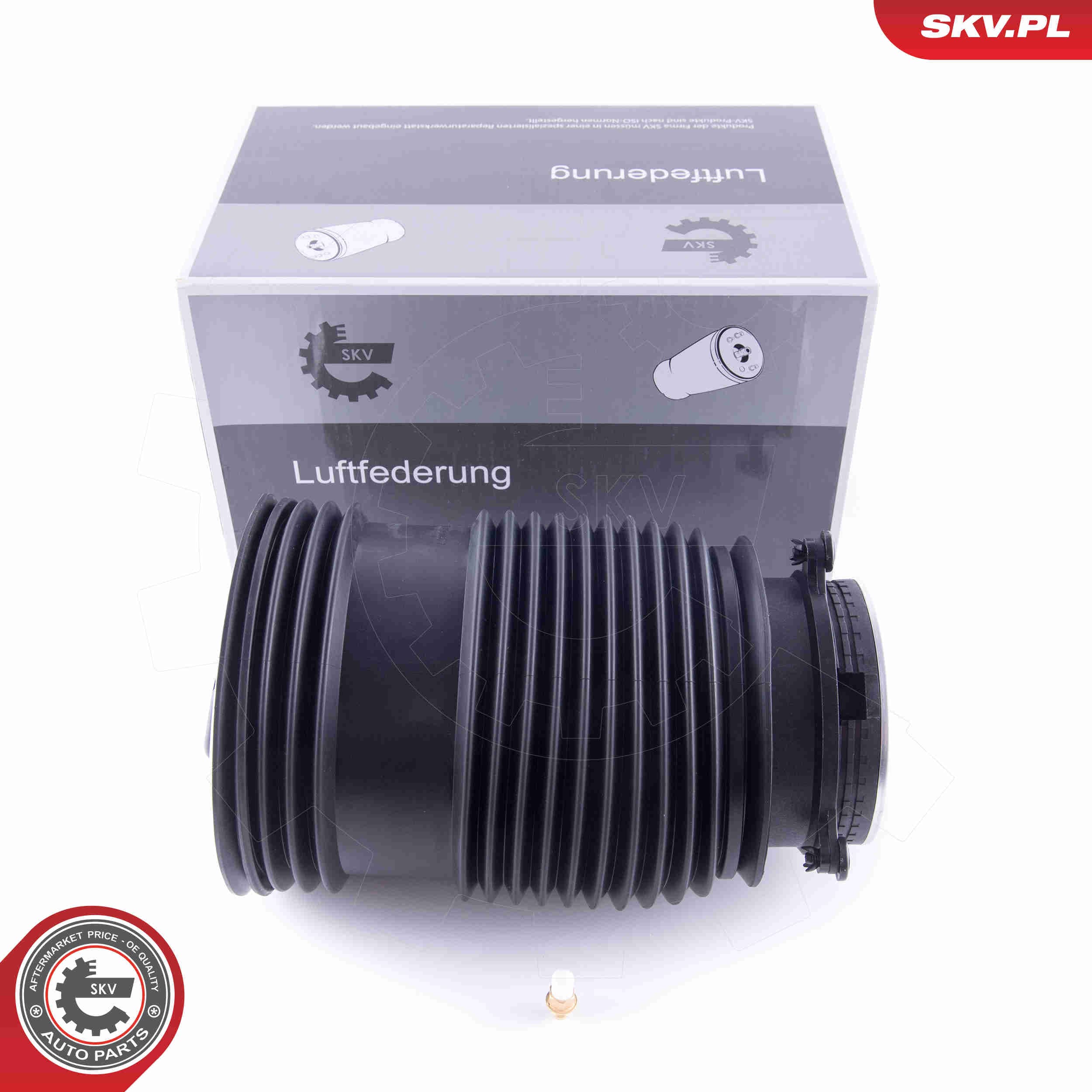 Image of Poduszka powietrzna, zawieszenie