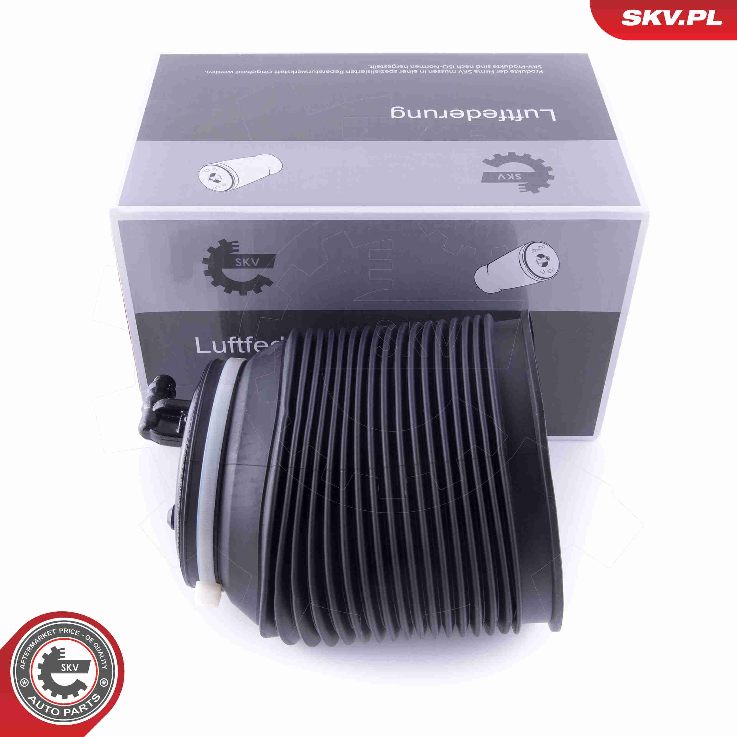 Image of Poduszka powietrzna, zawieszenie